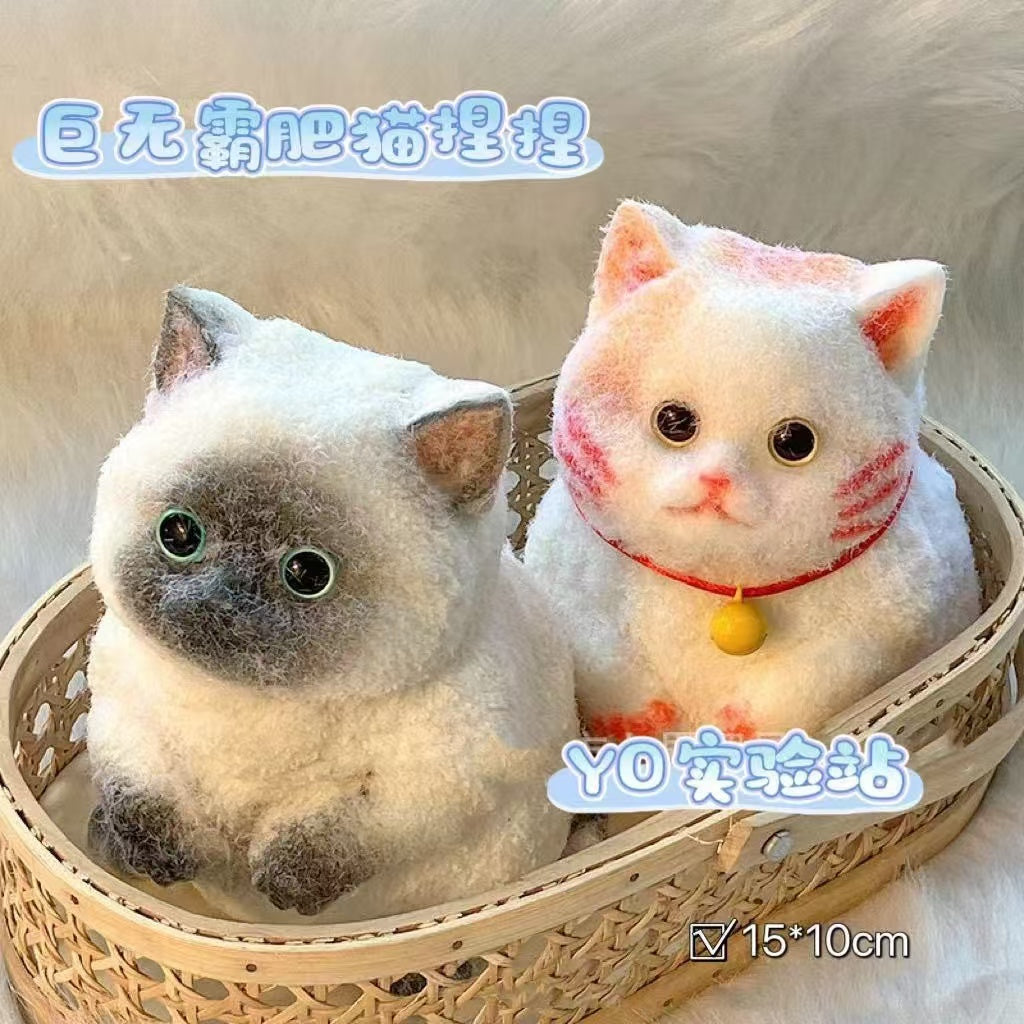 Pinch Pinch Cat