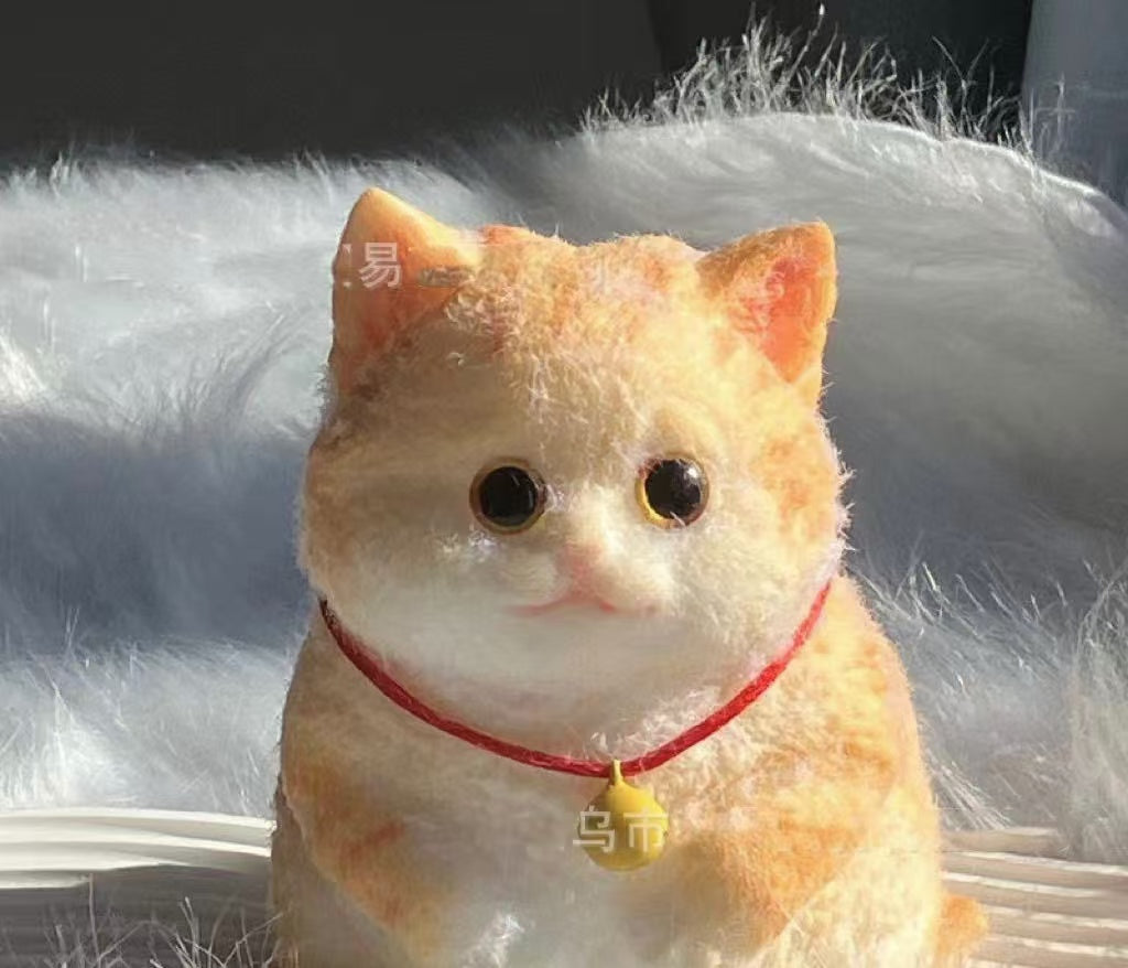 Pinch Pinch Cat