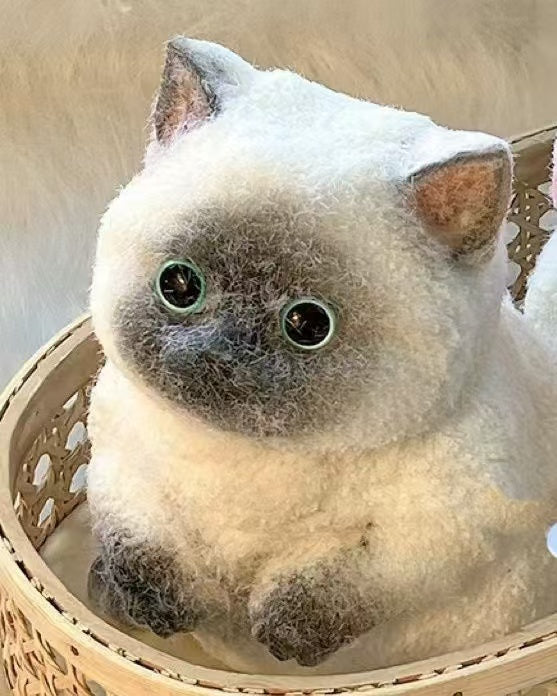 Pinch Pinch Cat